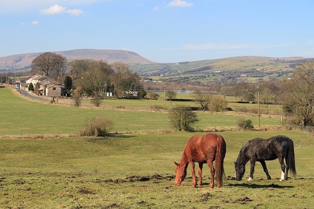 Pendle Hill from Coln