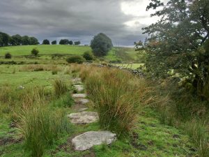Dartmoor