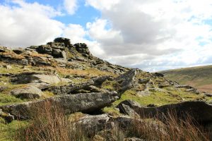 dartmoor tor